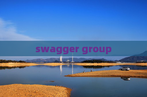 swagger group swagger group